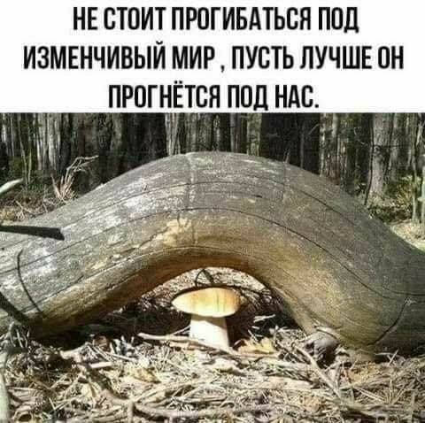 НЕ ВТПИТ ПРПГИБАТЬСЯ ПОЦ ИЗМЕНЧИВЫЙ МИР ПУСТЬ ЛУЧШЕ ПН ПРПГНЁТСЯ ППЦ НАБ