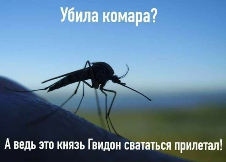 ЧЁ А ведь это князь Гвидон свататься прилетал