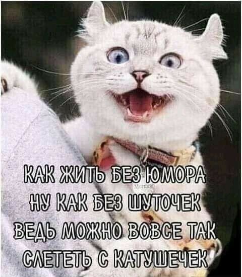 Г 1 м ЖЕ БЕЗ сдышЪ