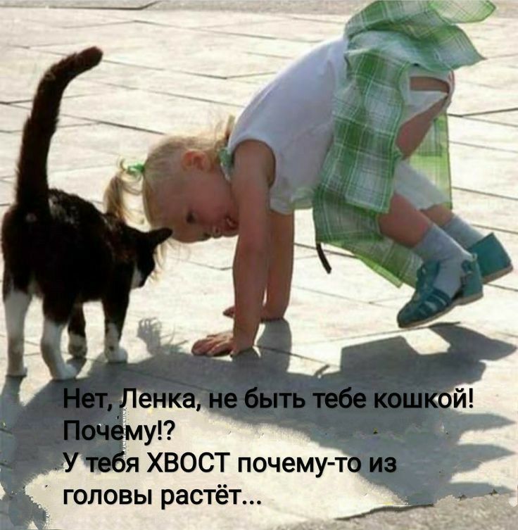 ая ХВОСТ почему т головы растёт