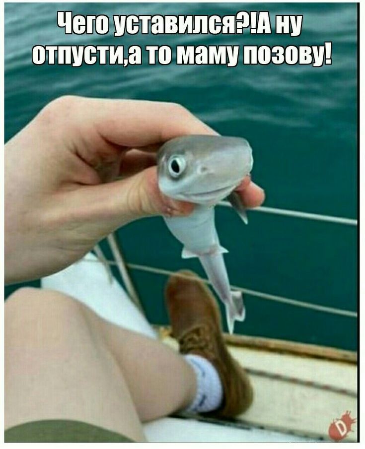 ПТПУЁТИ а то мат _ЩУЗПВУ
