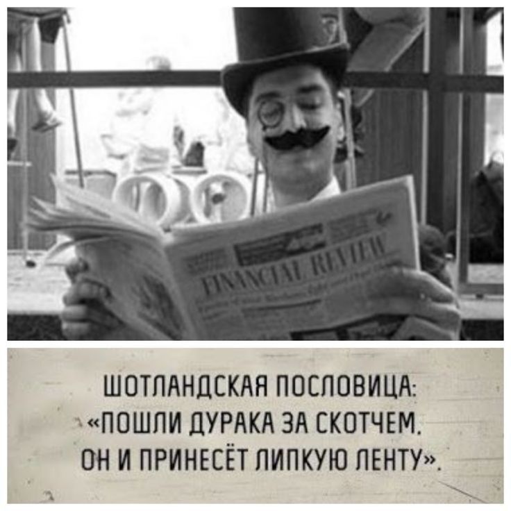 ШОТЛАНДСКАЯ ПОЕППВИЦА ПОШПИ ДУРАКА ЗА СКОТЧЕМ ОН И ПРИНЕСЁТ ПИПКУЮ ПЕНТУ Д