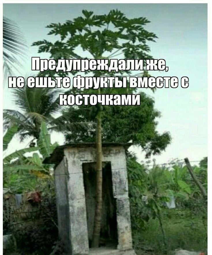 ийедйёнщже