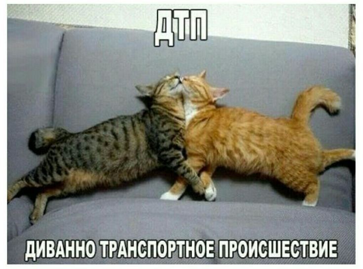 дИВАННО ТРАНСПОРТНОЕ ПРОИСШЕСТВИЕ