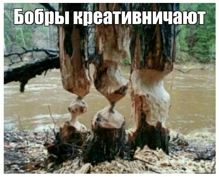 _ о_ппы НПВЗТИВНИШЮТ _
