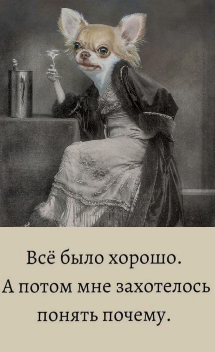 Всё было хорошо А ПОТОМ МНС захотелось ПОНЯТЬ ПОЧСМУ