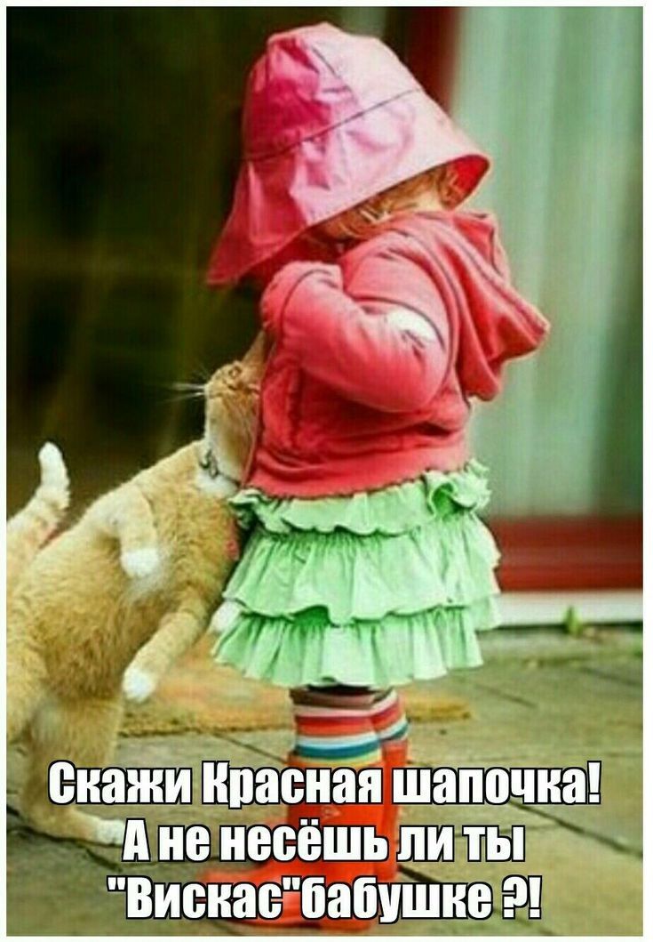 Шапоччеа всёшь литы!