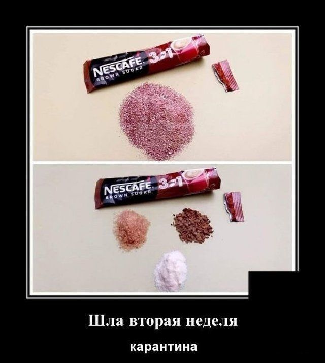 Шла вторая неделя карантина
