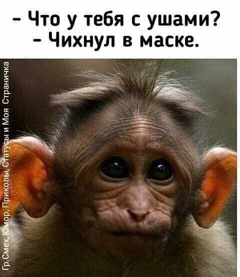 в к с М В Л У н х и ч _ 7 И М 3 Ш у с я 6 Р Т у 0 т Ч _ _ ь 5336 55 ищё 3523 ЁЁЁЕ