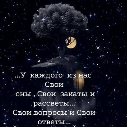 У каждбіо иа Свои сны Свои закаты и раёсветы Свои вопросы и Свои ответы