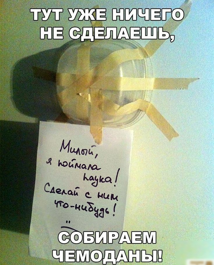 Мщыц 4 юйм зщ Сде С чтОнцхаа ЁШЁЭДЁШП ЁЁПЁМОШЫЩ