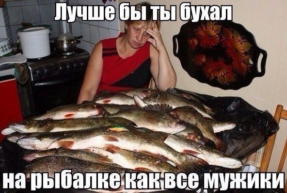 нап Шапнеінандвсе Ммжёінф