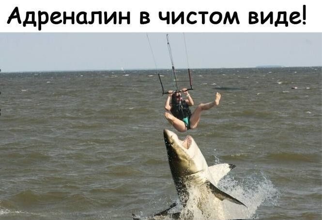 Адреналин в чистом виде