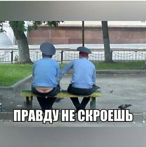 ПРАВДУ НЕ ВВРПЕШЬ