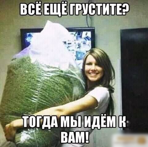 _тТогдд мшты н Ё Щ