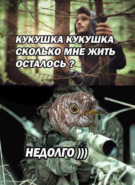 МНЕ КИТЬ СКО _ астма НЧЧА щ ько сь уп КУКУШКА кукуш