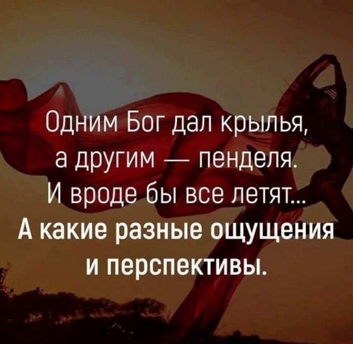 Одним Бог дал крылья а другим пенделя И вроде бы все летят А какие разные ощущения и перспективы