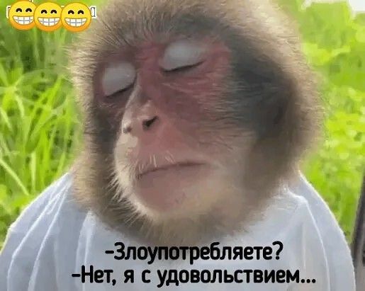 НЕТ Я С удовольствием