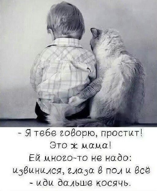 Я тебе говорю простит Это эк мама Ей многото не надо Идёмнилса надо 8 пол и Всё иди дальше косячь