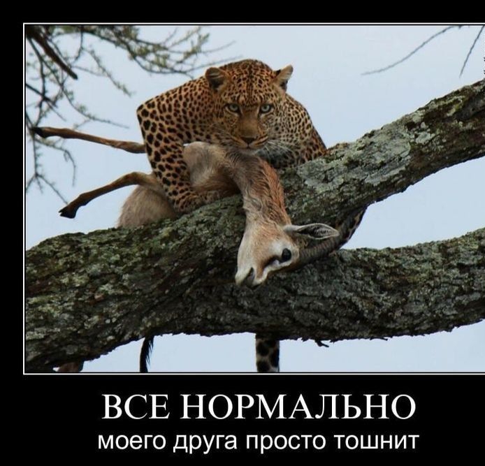 4 4 ВСЕ НОРМАЛЬНО МОЭГО друга просто ТОШНИТ
