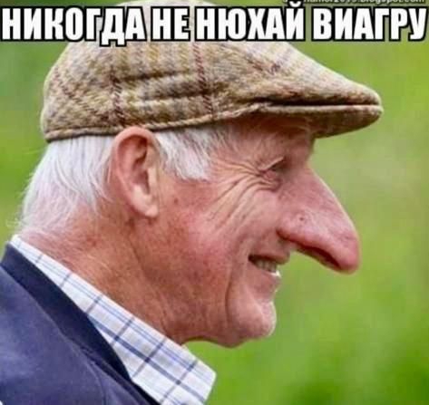 нинпгдд не нюхдй видгггч