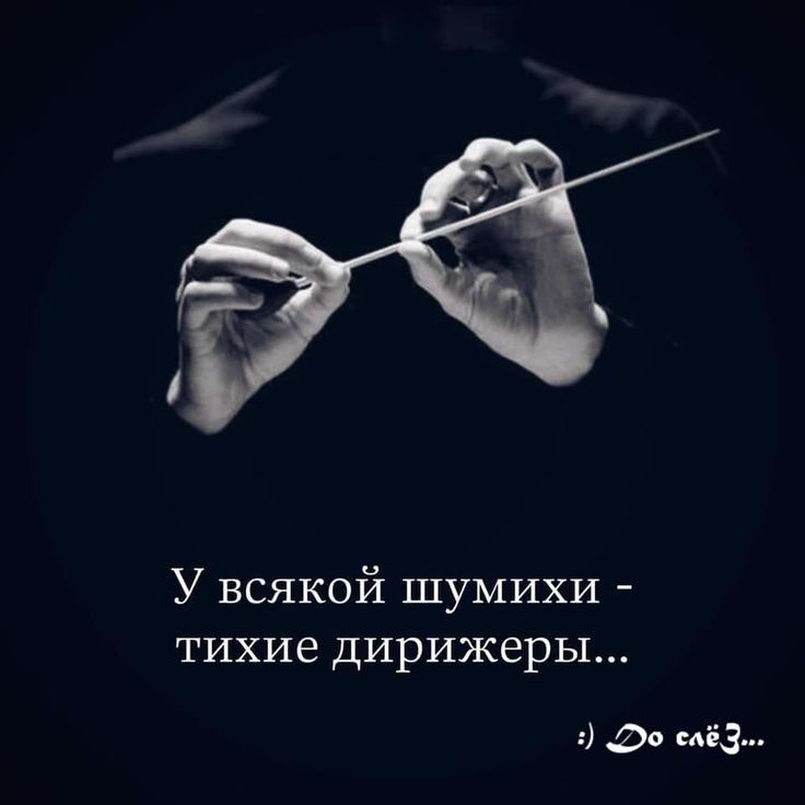 У всякой шумихи тихие дирижеры до 0453