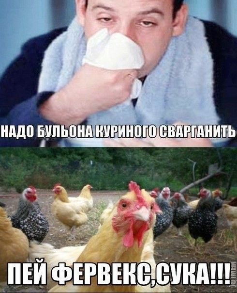 НАД ЧУПШНА _ ПЕЙФЕЖНЬЕЦМЁ