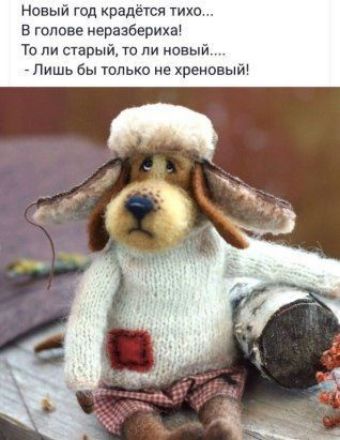 Новый тд крадет что в голове неразбериха То ли старый пи иовыи Лишь бы только не хреновы
