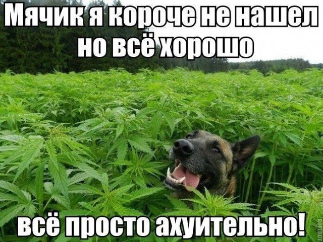 мйчИЪЁ Тдопоче но всё хопошо _ Ъ _ щ всё ппосто ахуитыіьно