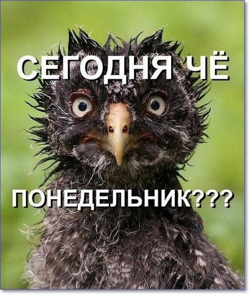 2 _ и _Н Ь л и