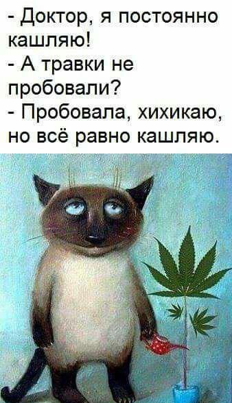 доктор я постоянно кашпяю А травки не пробовали Пробовала хихикаю но всё равно кашпяю