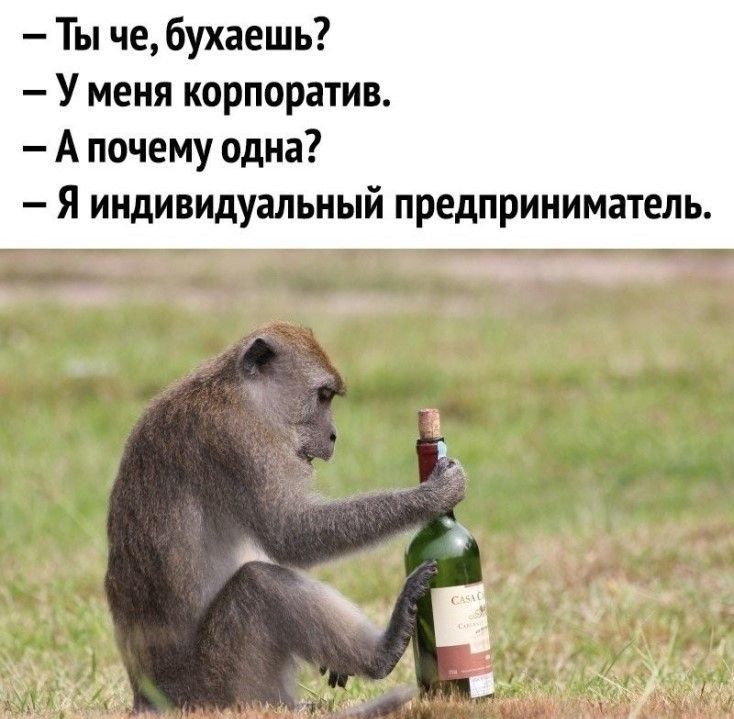 Ты че бухаешь У меня корпоратив А почему одна Я индивидуальный предприниматель