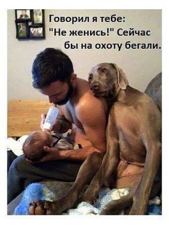 Говорил я тебе Не женись Сейчас бы на охоту бегали