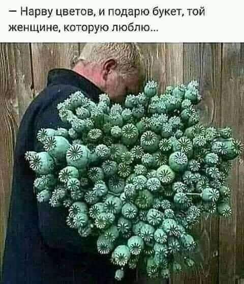 Нарву цветов и подарю букет той женщине которую люблю