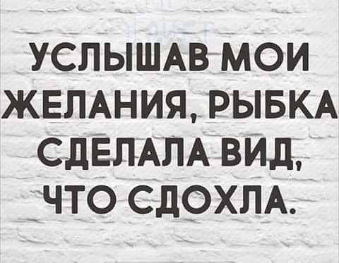 УСЛЫШАЕМОИ ЖЕЛАНИЯ РЫБКА СДЁЛАПА ВЙд ЧТО СДОХЛА