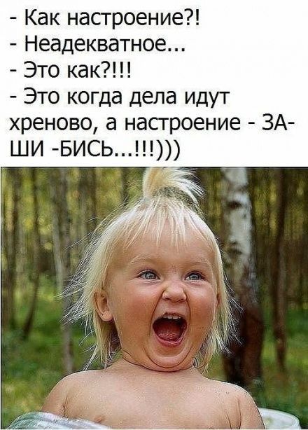 Как настроение Неадекватное Это как Это когда дела идут хреново а настроение ЗА ши БИСЬ