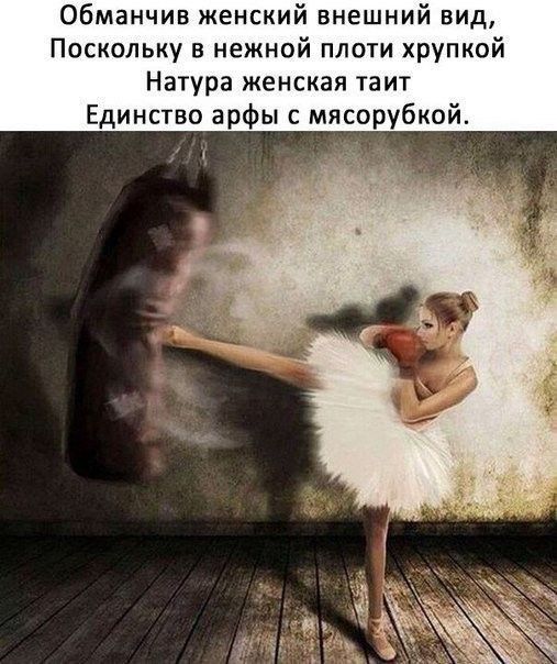 Обманчив женский внешний вид Поскольку в нежной плоти хрупкой Натура женская таит Единство арфы с мясорубкой