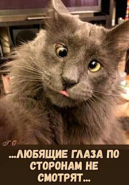 аб МОБЯЩИЕ гмзд по сторонди не смотрят