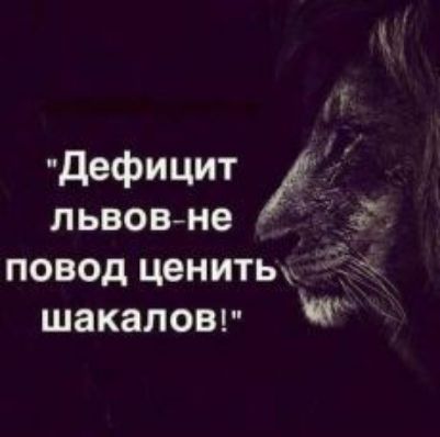 _ дефицит пьеса не повод цениты шакаловг