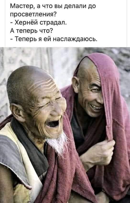 Мастер а что вы делали до просветления Хернёй страдал А теперь что Теперь я ей наслаждаюсь