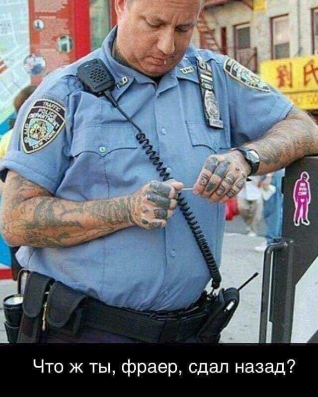 9 ж а Н ш в е а 0 ф ы ж 0 Ч