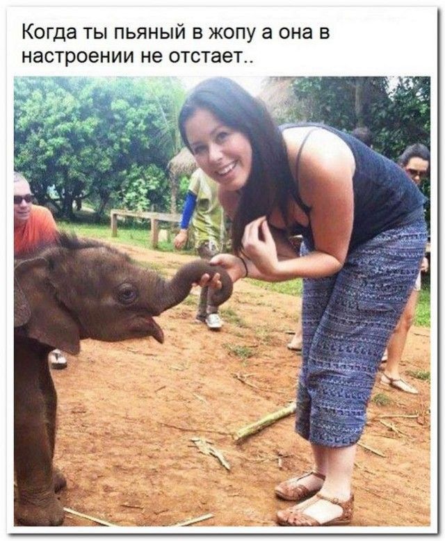 Когда ты пьяный в жопу а она в настроении не отстает