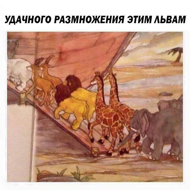 УДАЧНОГО РАЗМНОЖЕНИЯ ЭТИМ АЬВАМ
