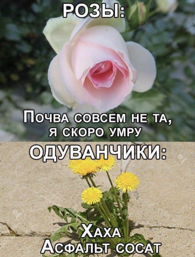 НЕ ТА я скоро умру О