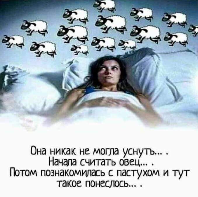Она никак не могла уснуть Начала считать овец Потом познакомилась с пастухом и тут такое понеслось