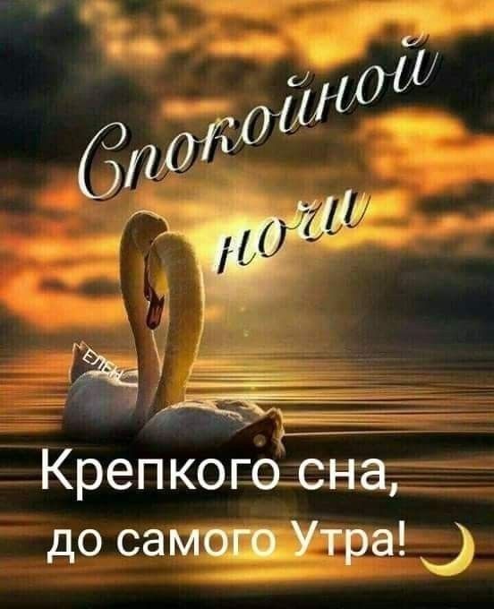 Открытки спокойной ночи