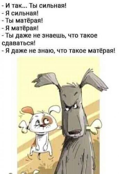 и хак Ты сильная Я сильная Ты мвтЕрвяі Я мнтёрая Ты даже не знаешь что таки сдаваться Я даже не знаю что такое матёрвя