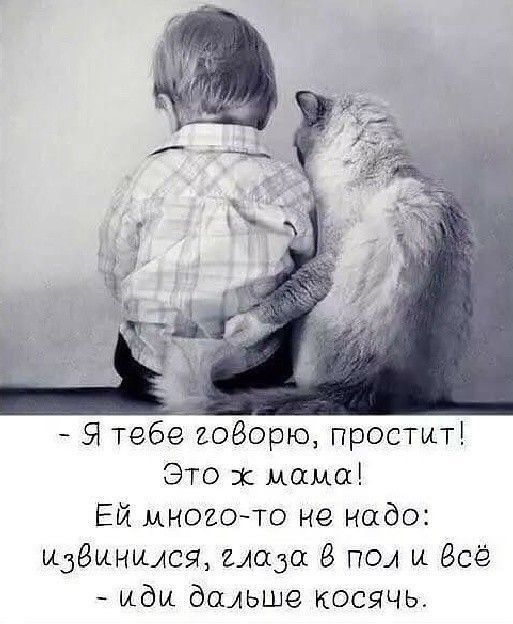Я тебе говорю простит Это ж мама Ей многото не надо извинился ЕАадод 8 под и Всё иди дальше косячь