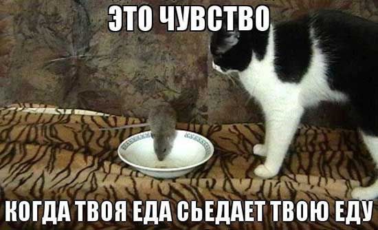 зто чивцво Ёмэд іЙщмг і члтч нпгдд твоя ЕДА ВЬЁДАЕТ твою Ед