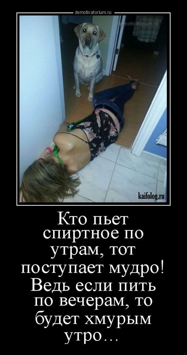 Кто пьет спиртноепо утрам тот поступает мудро Ведь если пить по вечерам то будет хмурым утро